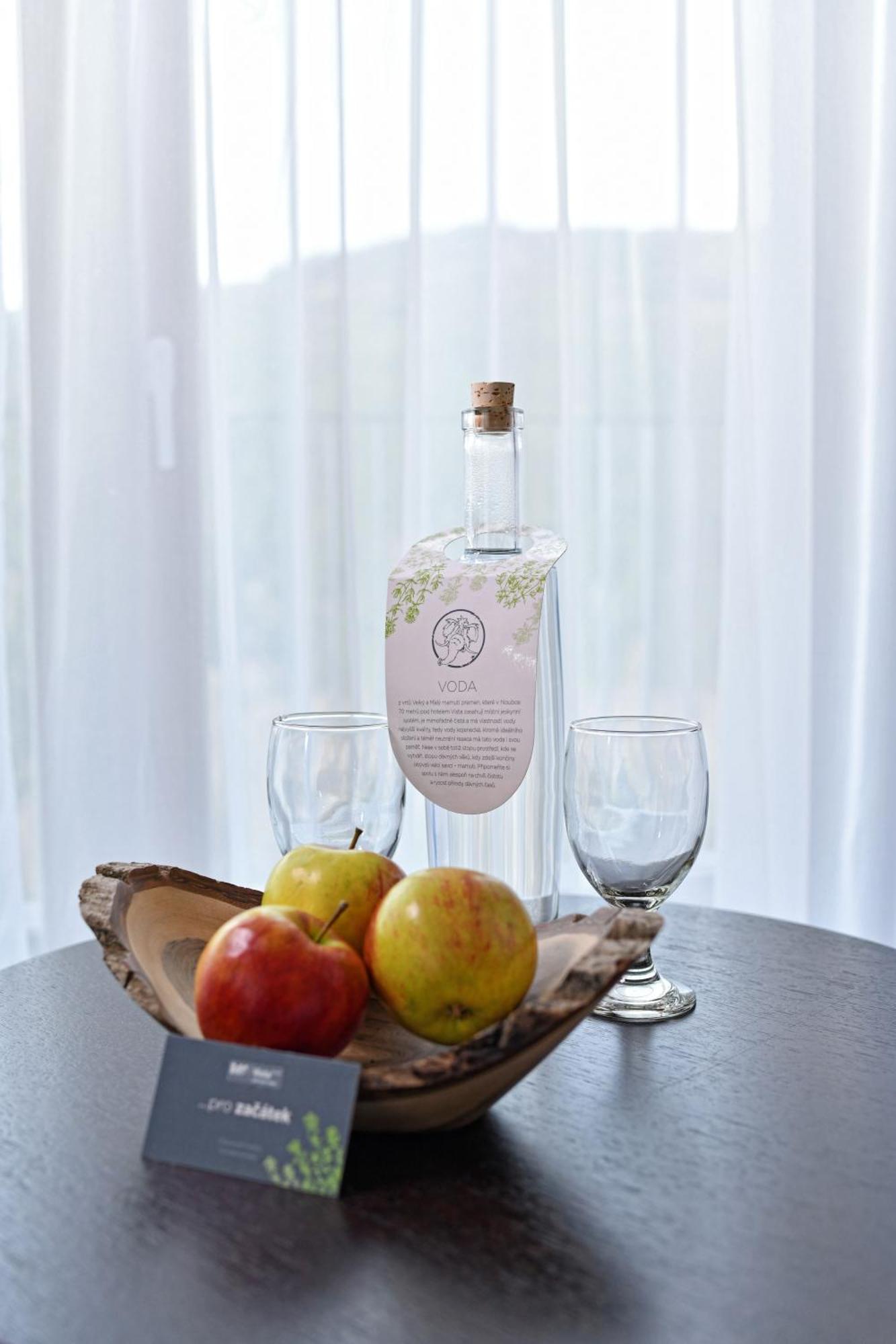Wellness Hotel Vista Dolni Morava Exterior photo