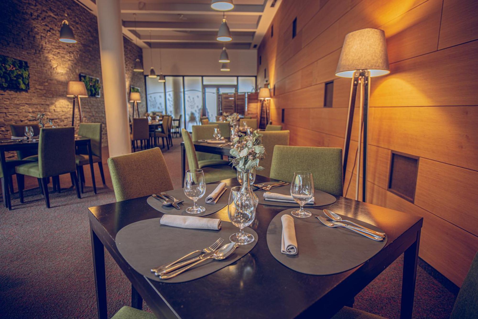 Wellness Hotel Vista Dolni Morava Exterior photo